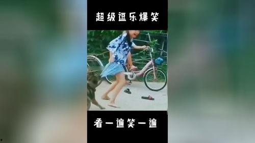 逗乐爆料视频大全最新版,最新版笑料横生，欢乐无限